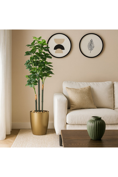 SADANHOME Schefflera tree, plastic pot - 160 cm