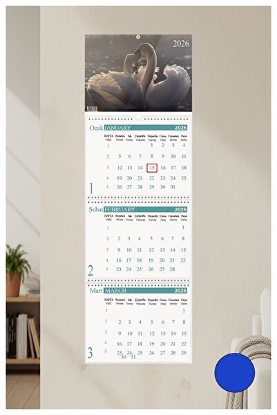 Artmaster 2026 Duvar Takvimi Kuğu Resimli 3 Aylık Gemici Takvimi Hayvan Resimli Jumbo Boy Askılı Spiralli Takv