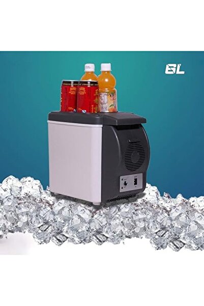 OEM Car Refrigerator, 6L 12V Mini Electric Fridge Heater Portable Refrigerator Travel Fridge