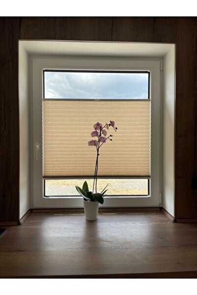 Stella KREM KANCALI / VİDALI PLİSELİ PERDE