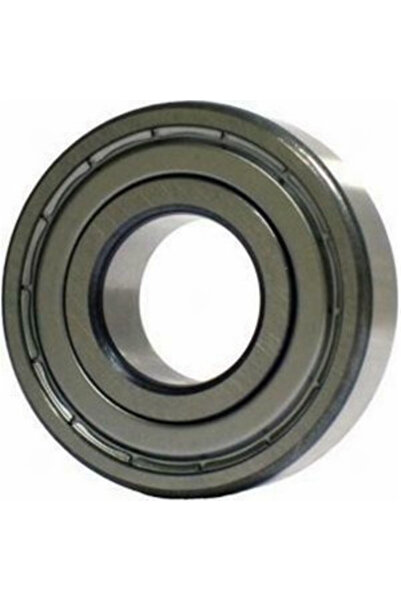 SKF Bearing 6204