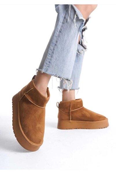 DURAN yarım tüylü bot