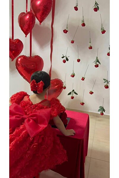 Hly Karol Tasarım Red Rose Diana Vintage Baby Girl Dress, Suitable for Birthdays, Photo Shoots, 0-12 Years Old