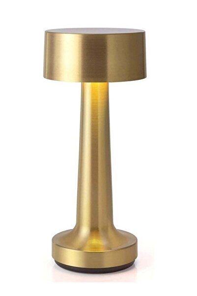 BLOOMING TIME Table Lamp for Living Room, Lamps for Bedroom, 3 Colour Touch Control - Metal (Gold)