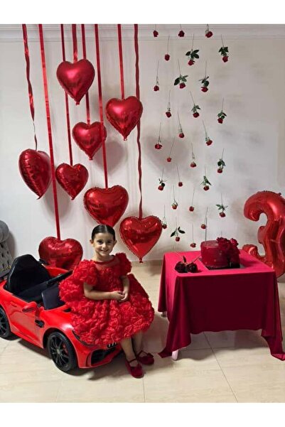 Hly Karol Tasarım Red Rose Diana Vintage Baby Girl Dress, Suitable for Birthdays, Photo Shoots, 0-12 Years Old