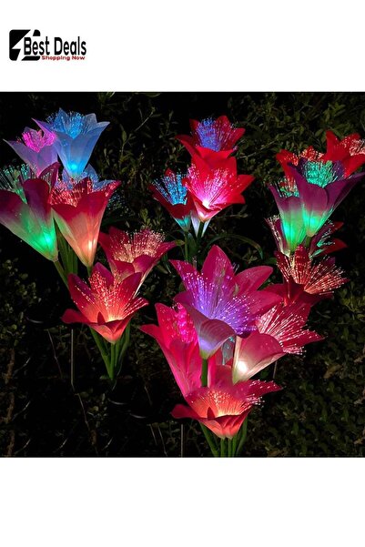 Generic Set Of 2 Solar Simulation Lily Flower Decorative Lights, Adjustable Lighting Type, Colorful Lighting