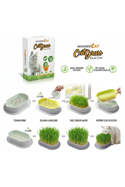 WonderCAT Topraksız Kedi Kulaklı Kedi Otu Mix Karışım Kedi Çimi