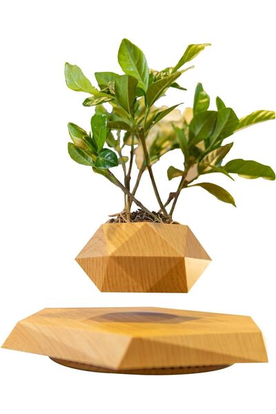 Specton وعاء زهور عائم من PeacePlanet (خشبي) - مزهرية نباتات دوارة عائمة مع إ...