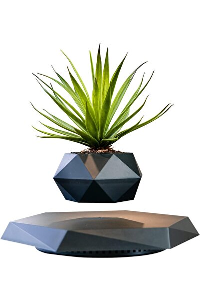 Specton وعاء زهور عائم من PeacePlanet - مزهرية نباتات عائمة مع إضاءة ليلية (أ...