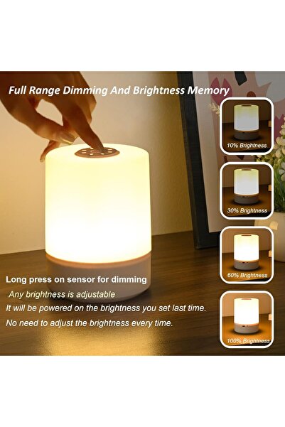 Generic Dimmable Touch Control Night Light - Rechargeable LED Bedside Lamp with Remote & Timers (2 Pack)