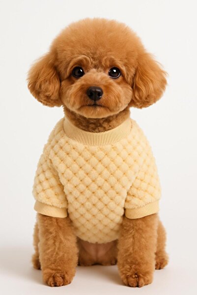 PAWPETİA Peluş Ayıcık Köpek Ve Kedi Kazak – Minik Dostunuzun Kışlık Lüks Stili!