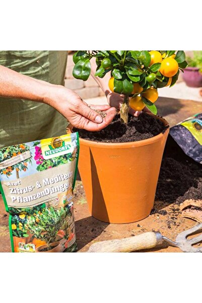 NEUDORF Azet fertilizer sticks for citrus & Mediterranean plants, 40 pcs, Neudorff