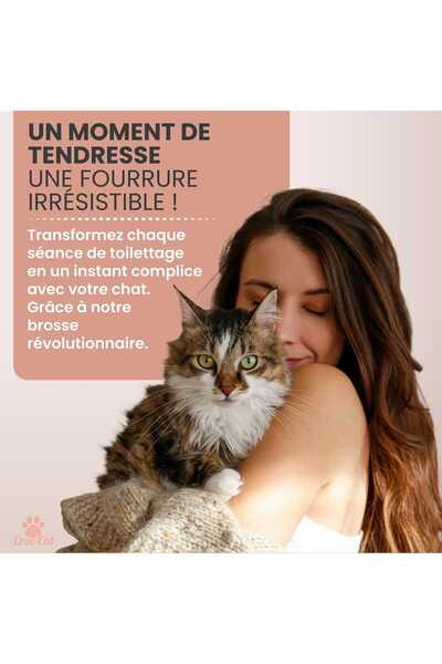 CROC-CAT Perie pentru pisici