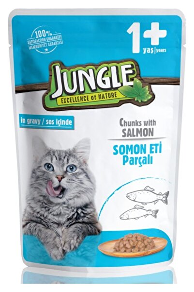 Jungle Kedi Somonlu 100 gr Pouch