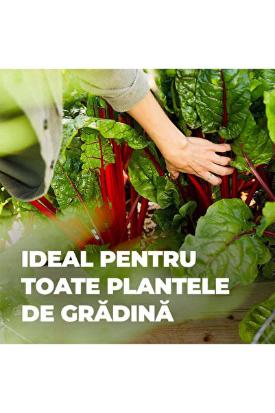 Compo Fertilizer with Guano, 1 kg,