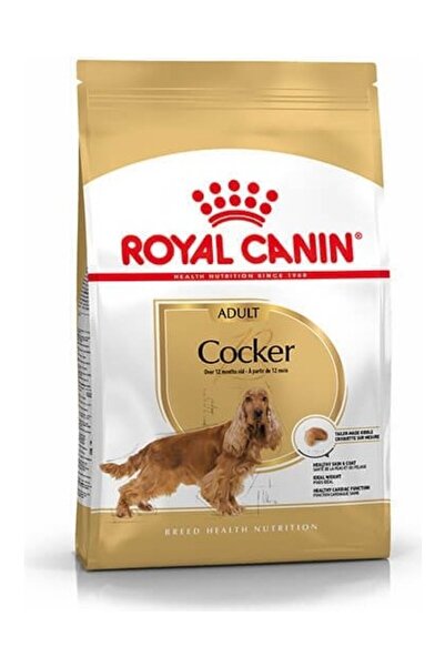 Royal Canin Cocker Adult Yetişkin Köpek Maması 3 kg