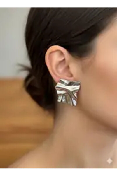 staınless steel Steel Earrings (Silver)