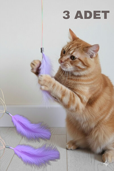 CatraWorks Sabitlenebilir Tüylü Kedi Oyuncağı, Kedi Eğlence Oyuncağı