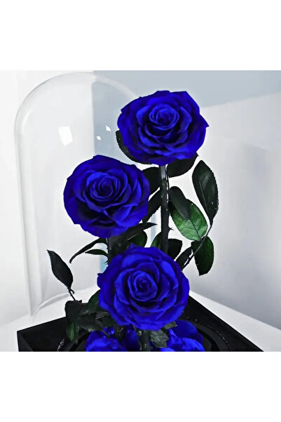 FOREVER ROSE Blue Roses in Glass Dome – Medium, 3 Eternal Roses, Gift
