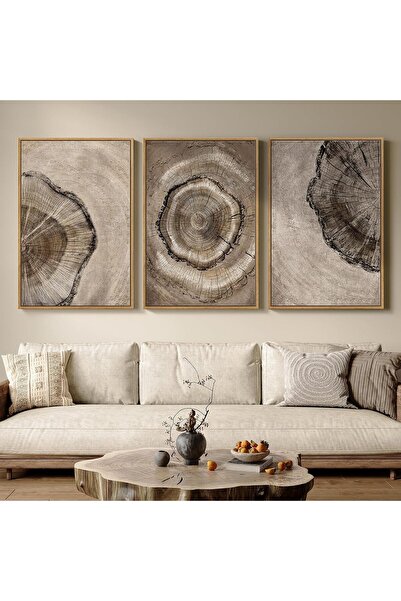 ALAYRA International مجموعة من 3 لوحات فنية على قماش حلقات الأشجار المحايدة، مطبوعات جذوع الأشجار الخشبية الريفية، 40×60 سم