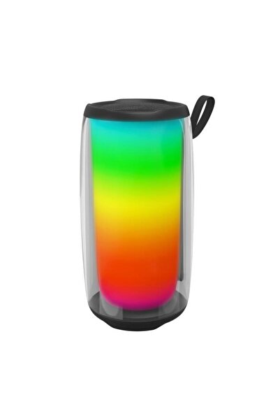 Başkenttekno BTS-1953 RGB İşikli Radyolu Taşınabilir Bluetooth Hoparlör