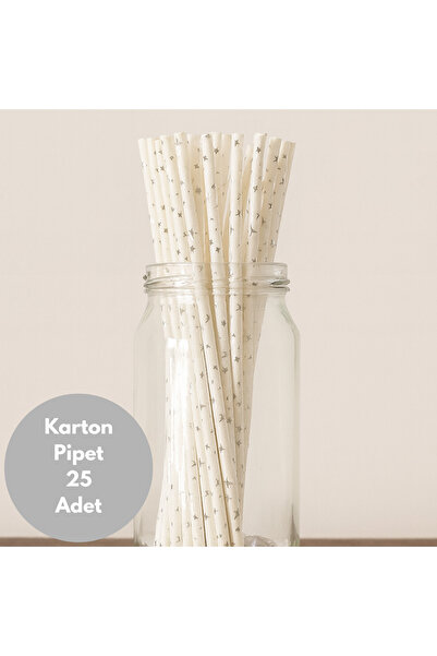 BatıDoğu Beyaz Üzeri Metalik Gümüş Renkli Yıldız Baskılı Karton Pipet 25 Adet