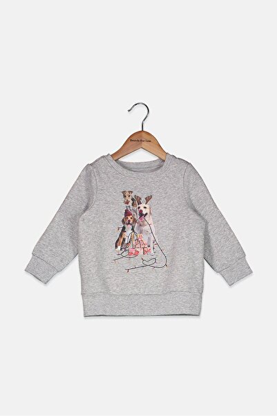 Tchibo Toddlers Boys Graphic Printed Sweatshirt, Grey