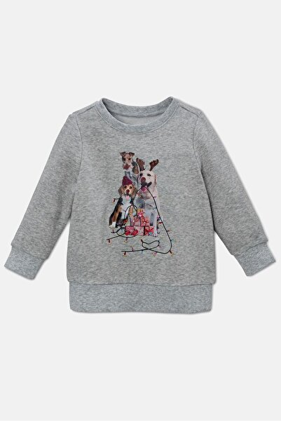 Tchibo Kid Boys Graphic Printed Sweatshirt, Grey