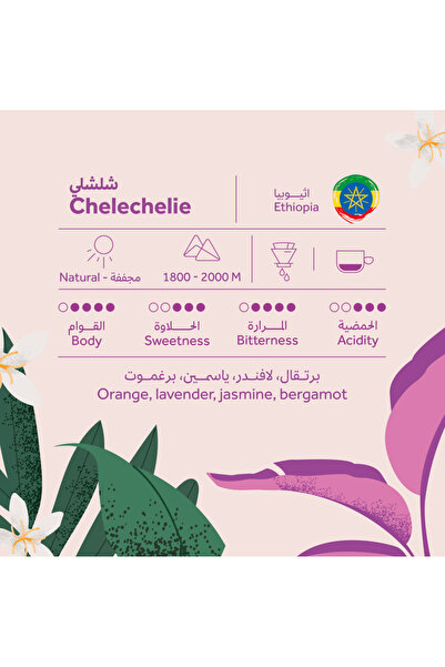 chemex co Prehant Roastery - Ethiopia Shilashli Roasted Coffee 250g