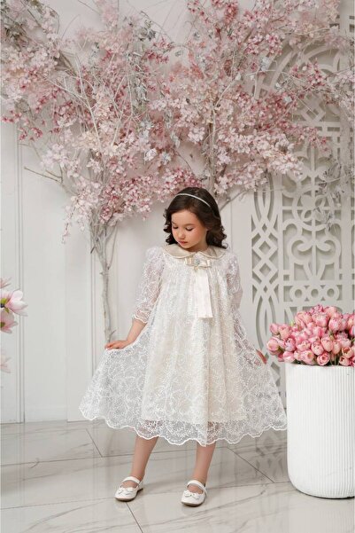 PİXİNADELUXE Peter Pan collar Super and Tulle Detailed Dress