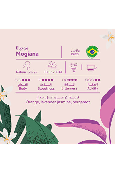 chemex co Brehant Roastery - Brazilian Mogiana Roasted Coffee 250g