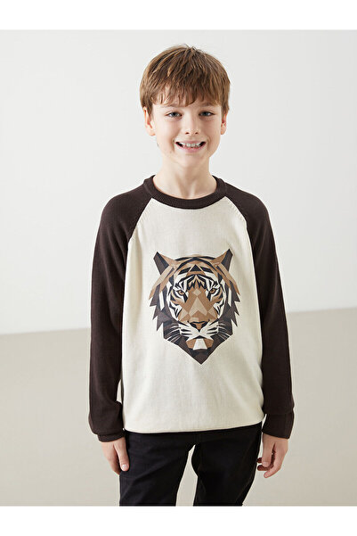 LC Waikiki Lcw Kids Ecru Crew Neck Printed Long Sleeve Boy Knitwear Sweater