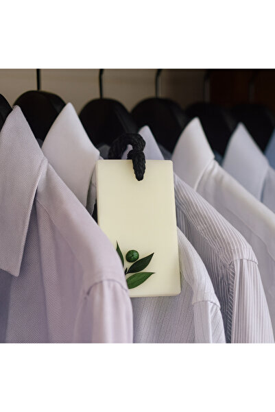 LumanariArtizanale.Ro Wardrobe Air Freshener, Scented Tablet for Men, SAUVAGE–cedar wood–bergamot–handmade