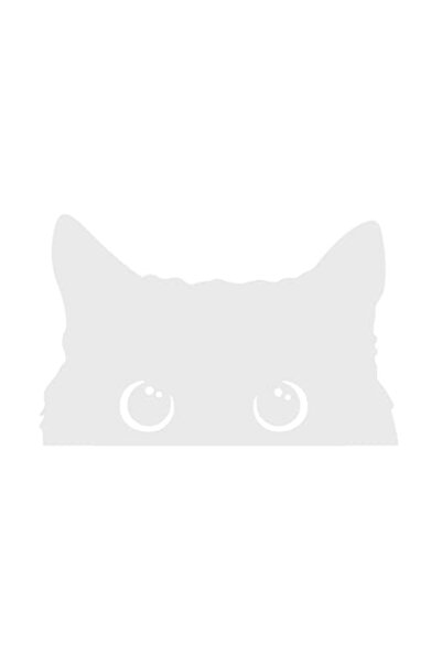 Oracal 651 Cat head car sticker, 20x13cm, white