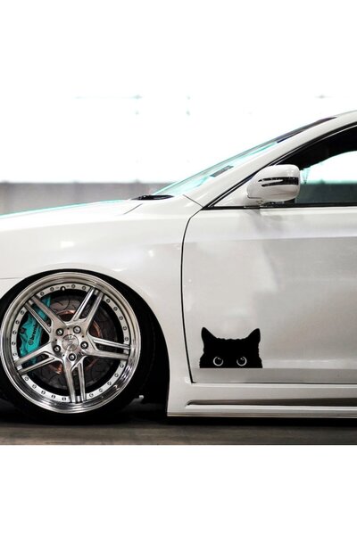 Oracal 651 Cat head car sticker, 20x13cm, orange