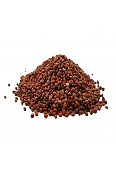 Nature Spirit روح الطبيعة - بذور الفجل