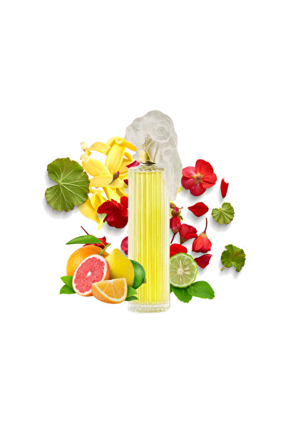 j.casanova Plaisir Eau de Parfum for Women, 100ml Concentrated by J. Casanova