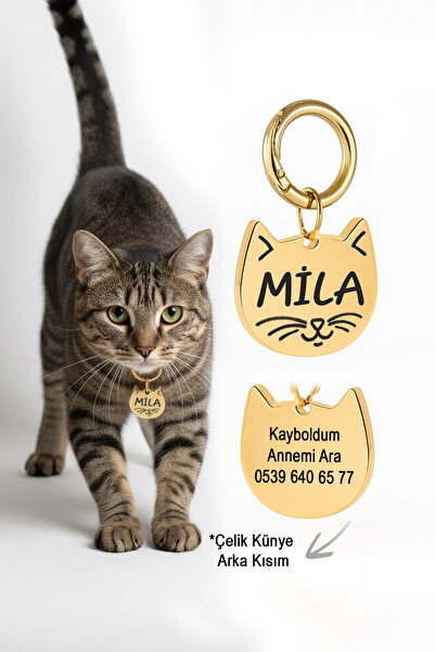 dekoliva Gold Altın Renk Kedi Künyesi Paslanmaz Çelik İsme Özel