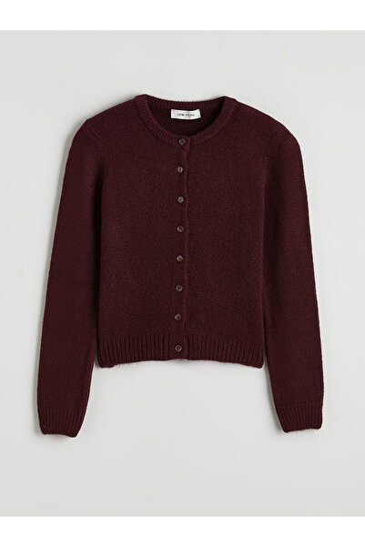 LC Waikiki Seray Yeni Sezon Bisiklet Yaka Kadın Triko Hırka