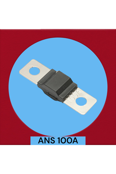 OEM ANS 100A car fuse