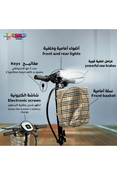 ALBADER Electric Scooter V10 with Seat & Lighted Wheels, Electric Kick Scooter For Kids,24V Battery