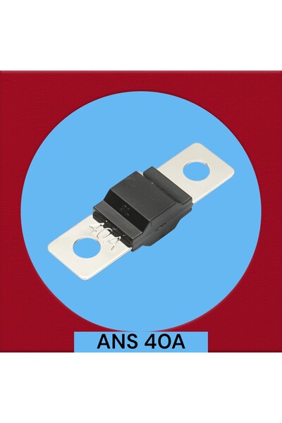 OEM ANS 40A car fuse