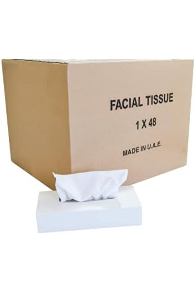 Cleany Genie علبة مناديل للوجه، 80 ورقة، أبيض، عبوة من 48 قطعة
