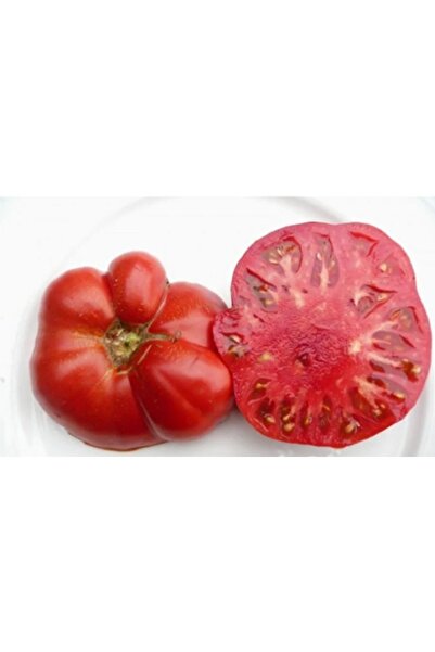 prestijiseed Ekim Seti Oturak Çanakkale Domates Tohumu 20 Adet Tohum+Saksı +T...