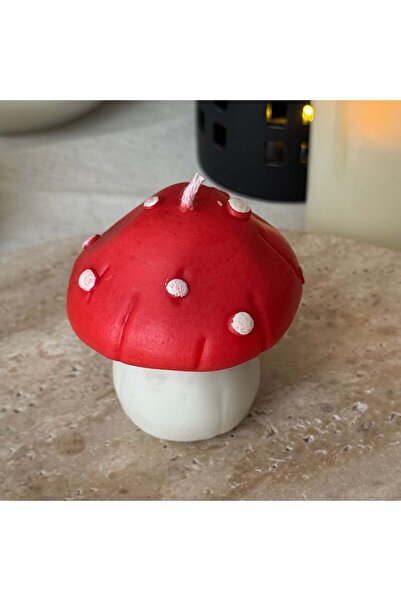 Red Mushroom Mum