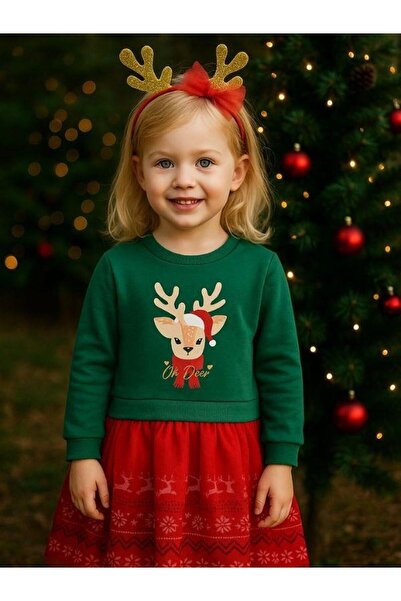Zekids Girl's Christmas Themed Dress with Deer and Crown Gift