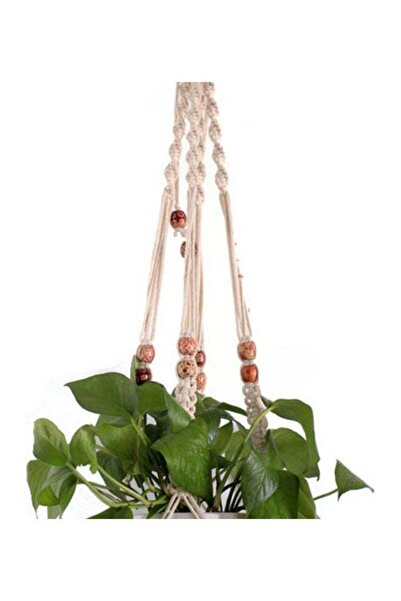 Generic Hanging Basket Plants Flowers Pot White