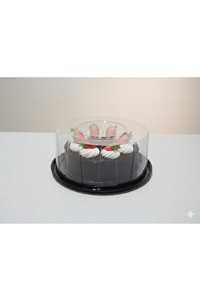 Ta-Fu Global Cake Storage Container 50 Pieces with Lids (Large-30Cm 11cm Capa...