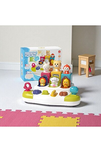 OEM Interactive Pop-Up Animal Toy - Educational Cause-Effect Activity Center for Babies