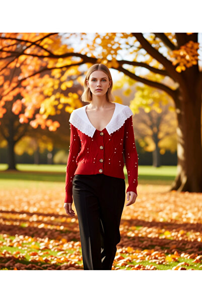 BENERLY Women's Peter Pan collar Woven Garni Detailed Hair Knitwear Cardigan ...